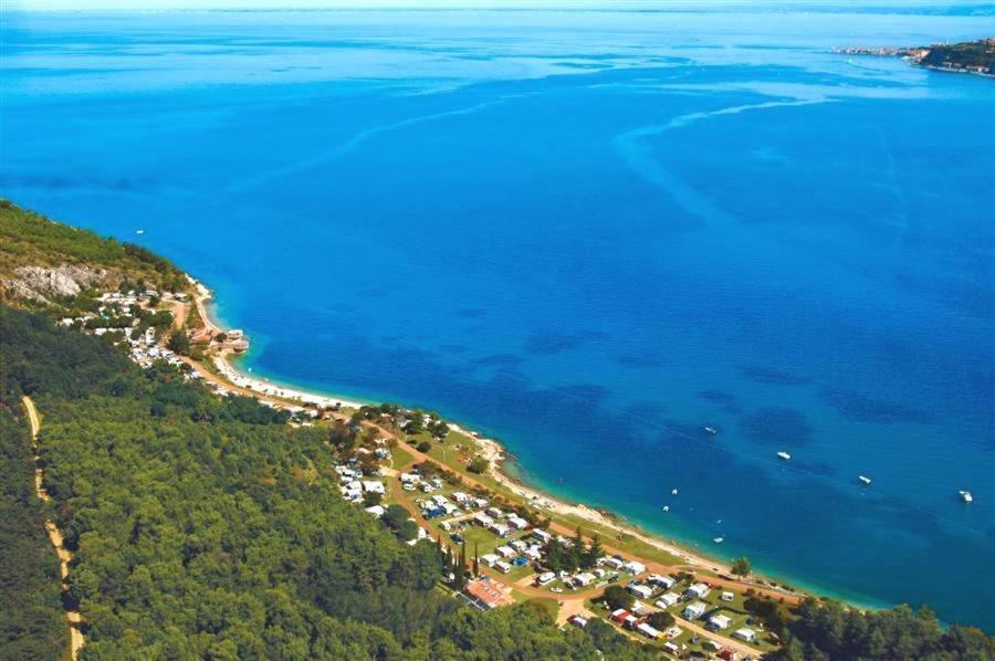 Villa Rustica Buje Buitenkant foto